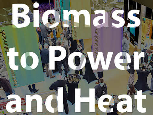 Biomass to Power and Heat
