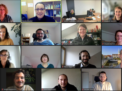 Participants in the CoCre-HIT project meeting during an online meeting. Everyone smiles into their cameras.