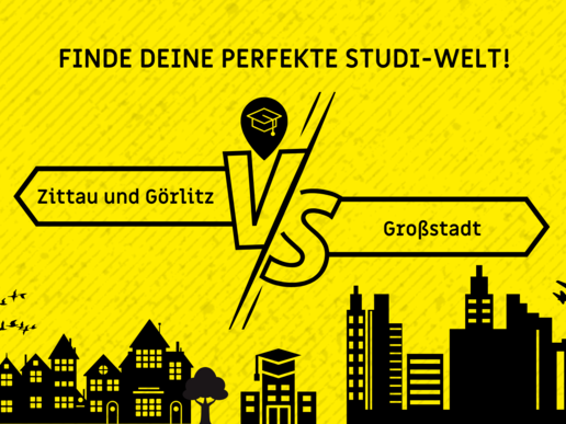 Graphic representation of a small town and a large city. A signpost symbolizes the directions Zittau and Görlitz vs. the big city. The graphic has the headline: Find your perfect student world