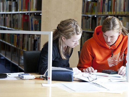 Two students studying in the library.