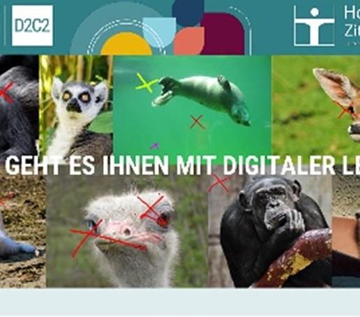 A screenshot shows various animals and colored crosses with the caption: How are you doing with digital teaching?