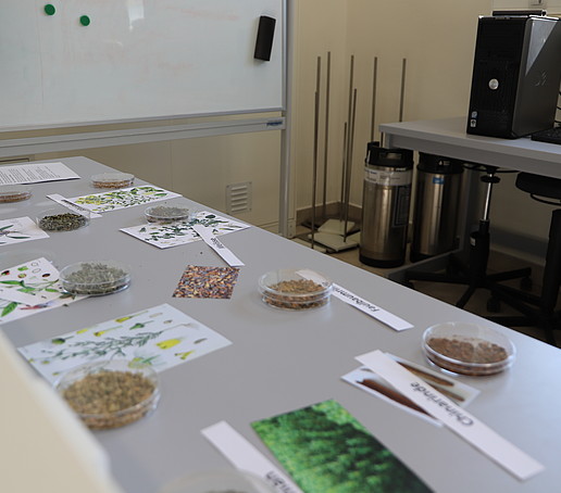 Samples of medicinal plants in glass bowls lie on a table.