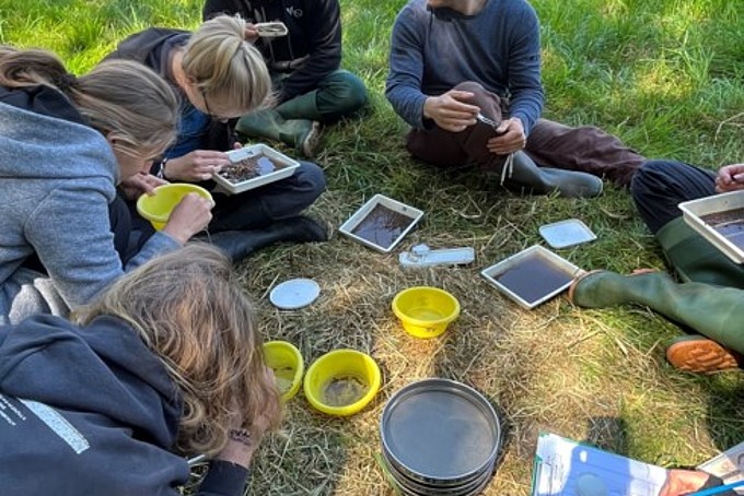 Students on a meadow with bowls and tools to test the biological water quality.