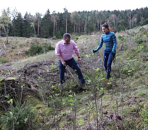 The rector and a student plant a tree in the forest clearing.