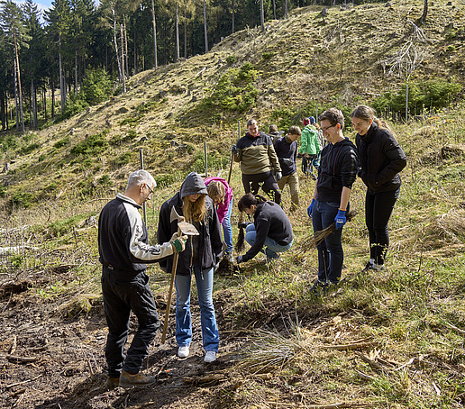 A group of students prepares for planting in the forest clearing.