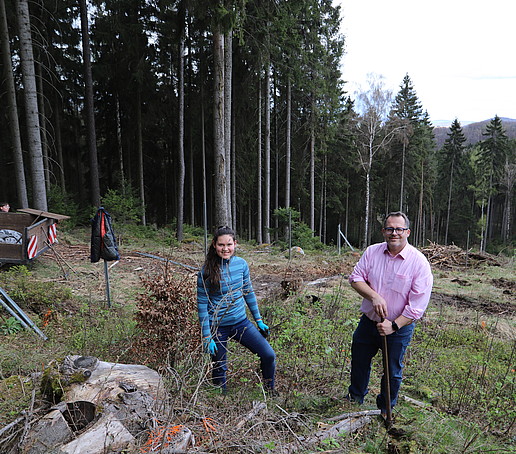 The rector and a student plant a tree in the forest.