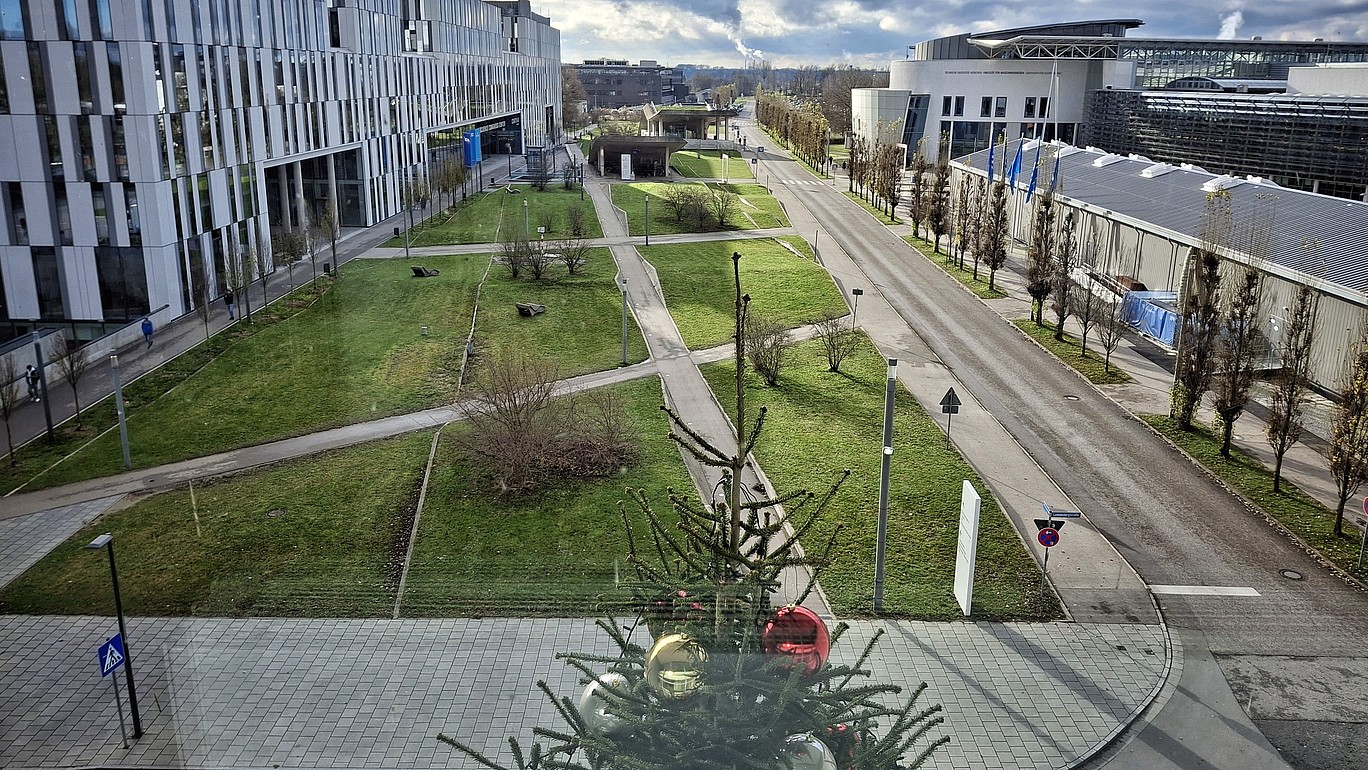 Mehrere Universitätsgebäude mit rechtsbündiger grüner Wiese liegen im Hintergrund. Vordergründig ist die Spitze eines geschmückten Weihnachtsbaumes zu sehen.