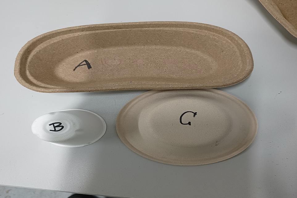 Disposable tableware (sample)