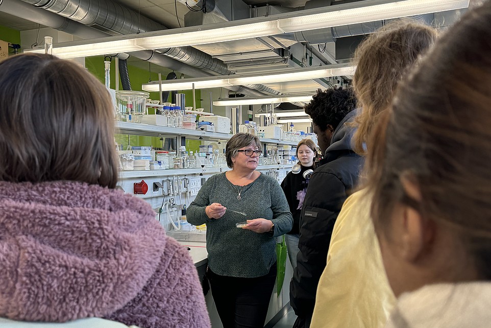 A person stands in a laboratory at the HSZG and explains various laboratory processes to a group of international prospective students from the Rahn Studienkolleg Leipzig. Shelves with laboratory utensils and equipment can be seen in the background. The audience stands in a group and follows the explanations attentively.