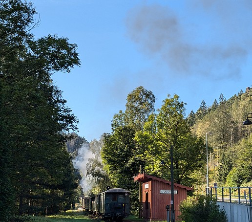 The moving steam locomotive under a blue sky.