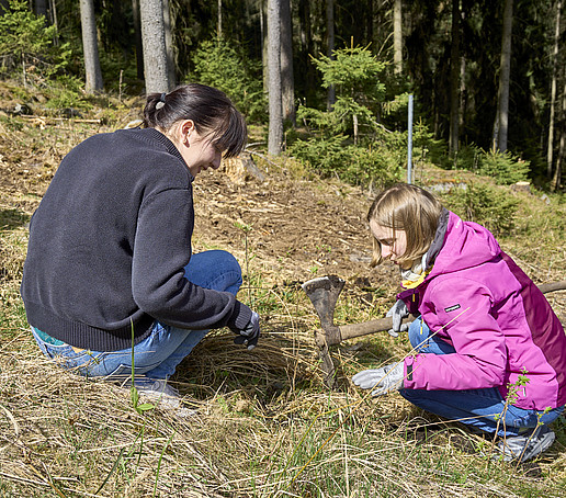 Two students plant a tree in the forest floor.