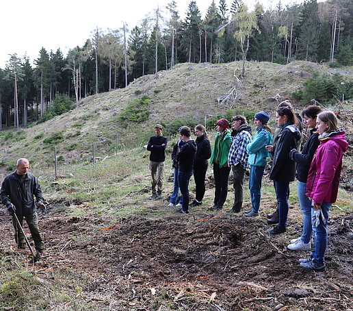 The students stand on the forest floor in the clearing and watch a forestry worker.